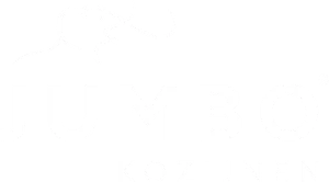 Logo Jumbo Kozijnen